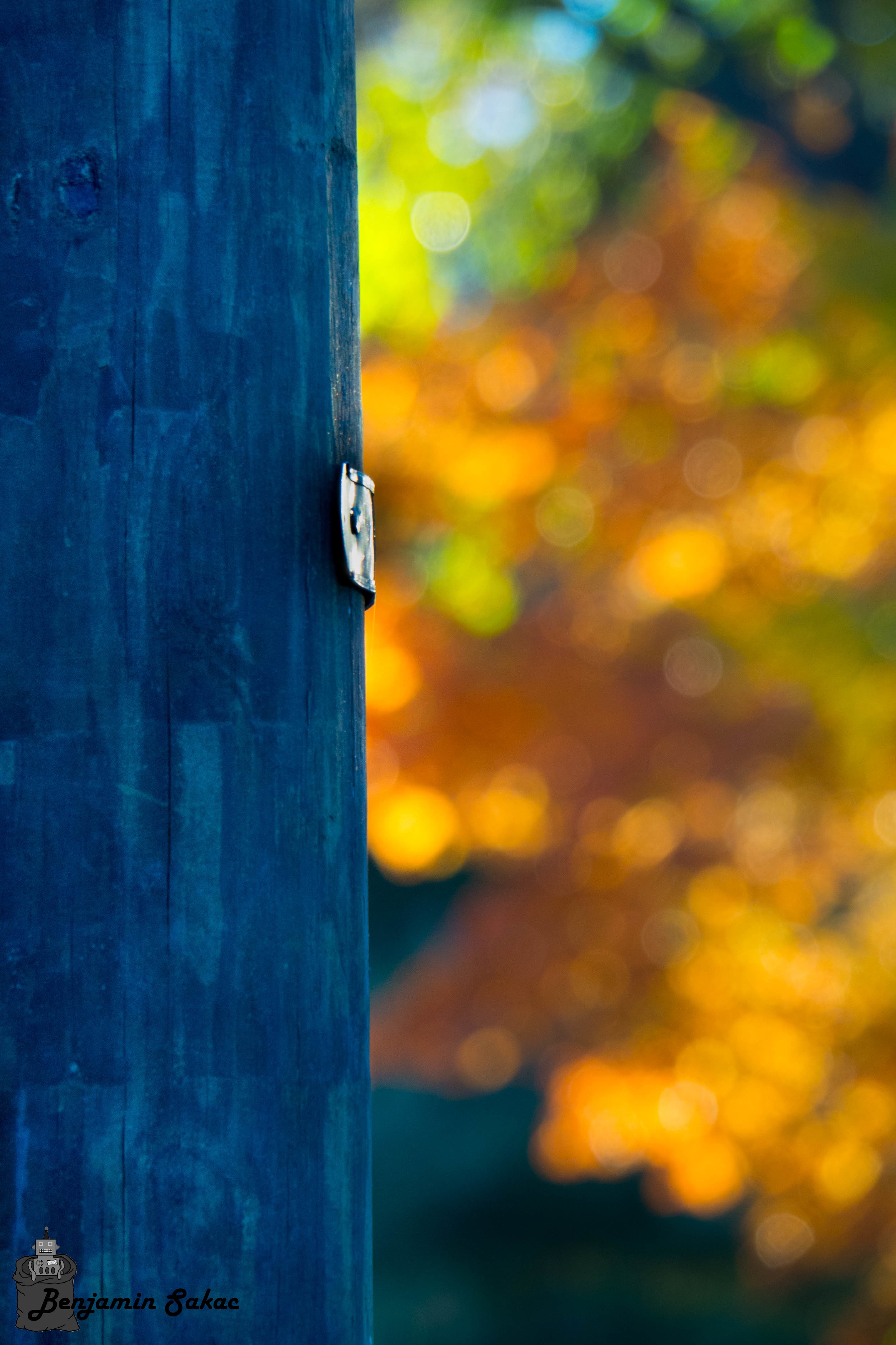 Telephone pole with Autum tree bokeh in background